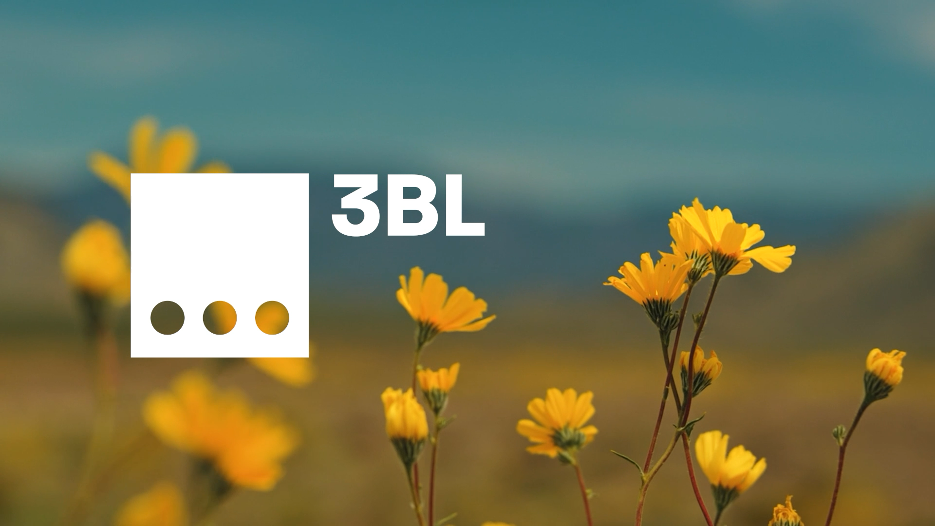 About 3BL – 3BL